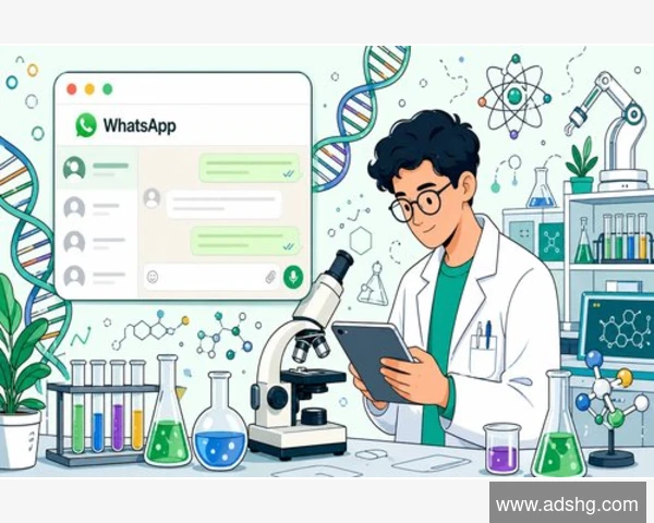 轻松掌握WhatsApp通知优先级设置